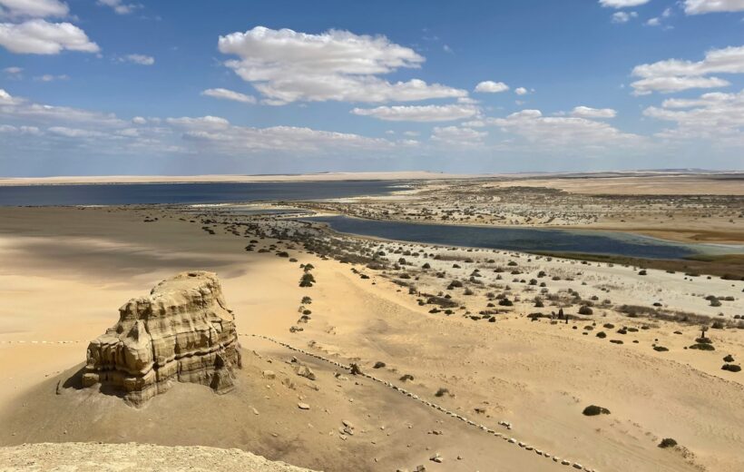 Fayoum Oasis Overday Tour from cairo- Code SCFO 16
